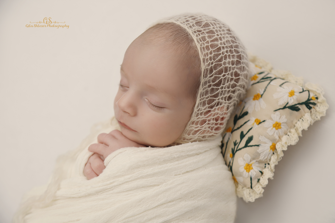 צילום: גילה שלסר 0548539444