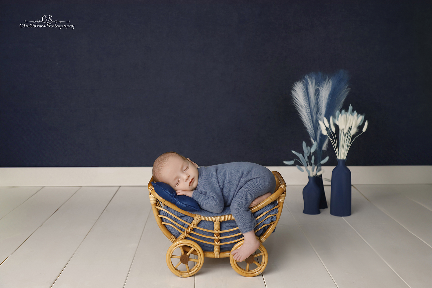 צילום: גילה שלסר 0548539444