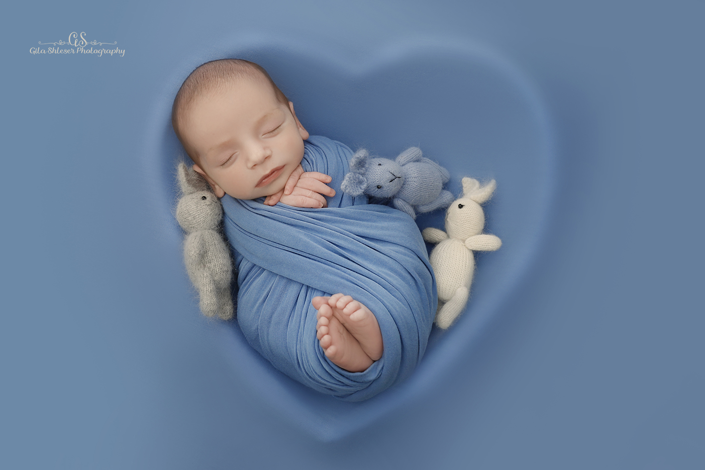 צילום: גילה שלסר 0548539444