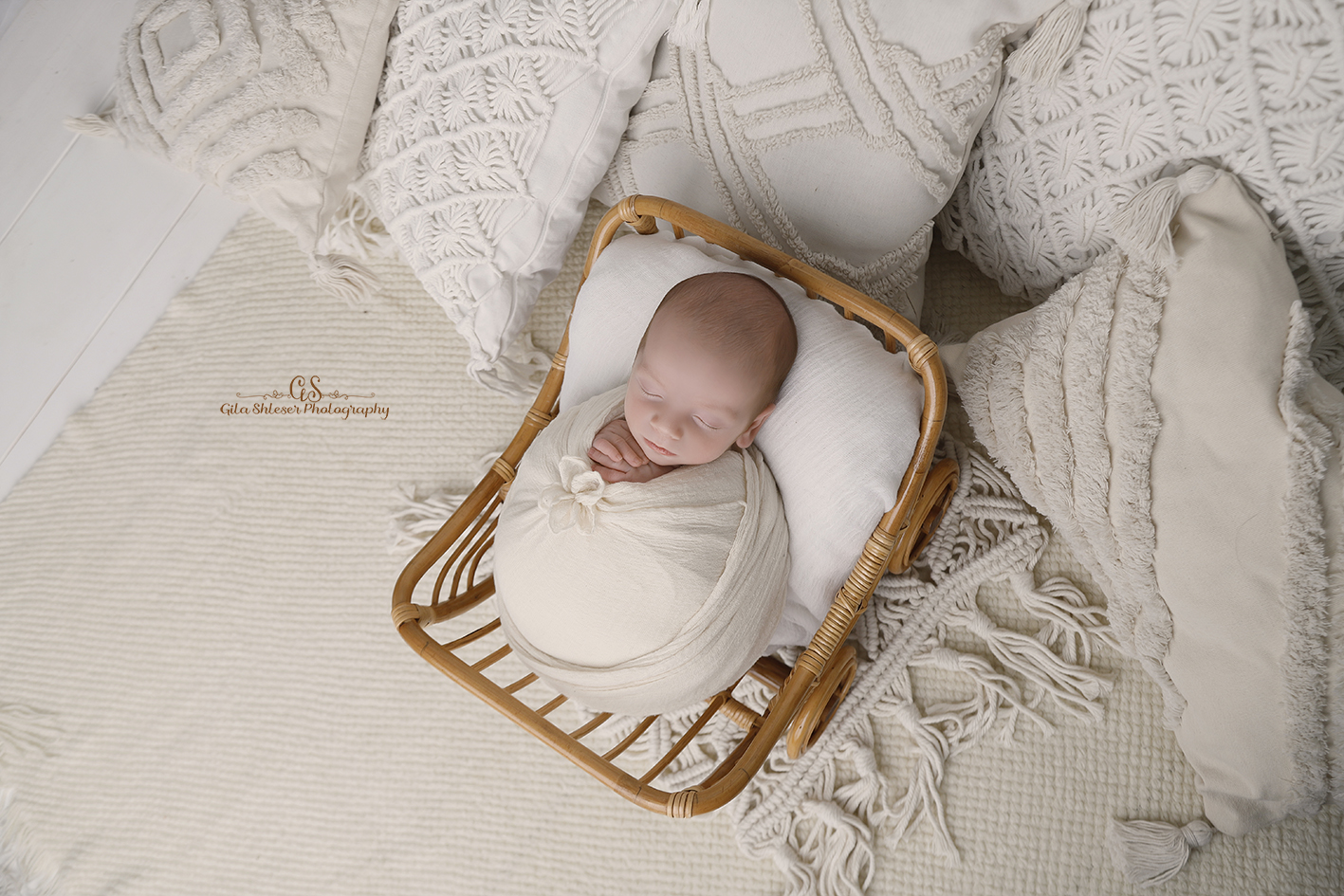 צילום: גילה שלסר 0548539444