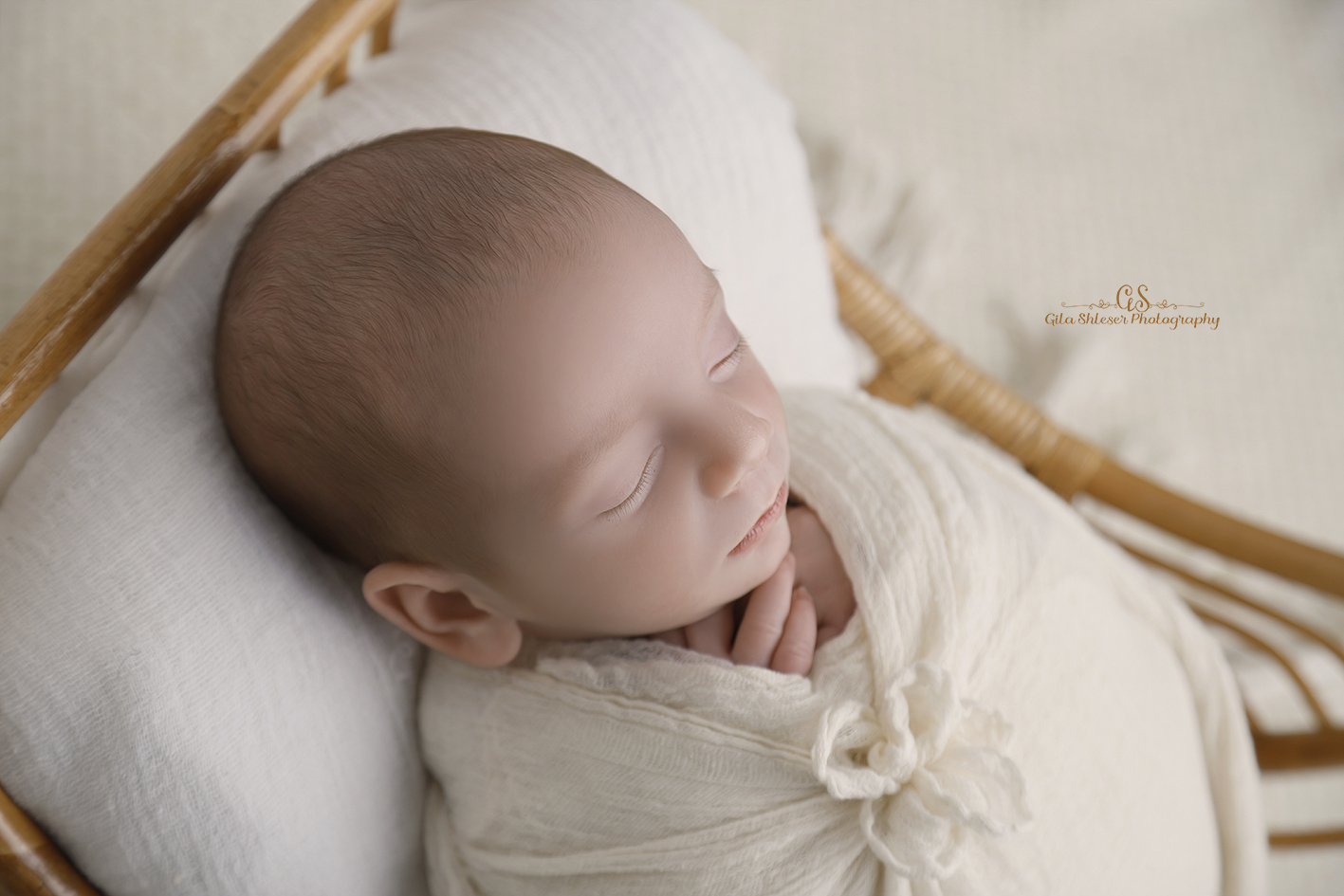 צילום: גילה שלסר 0548539444