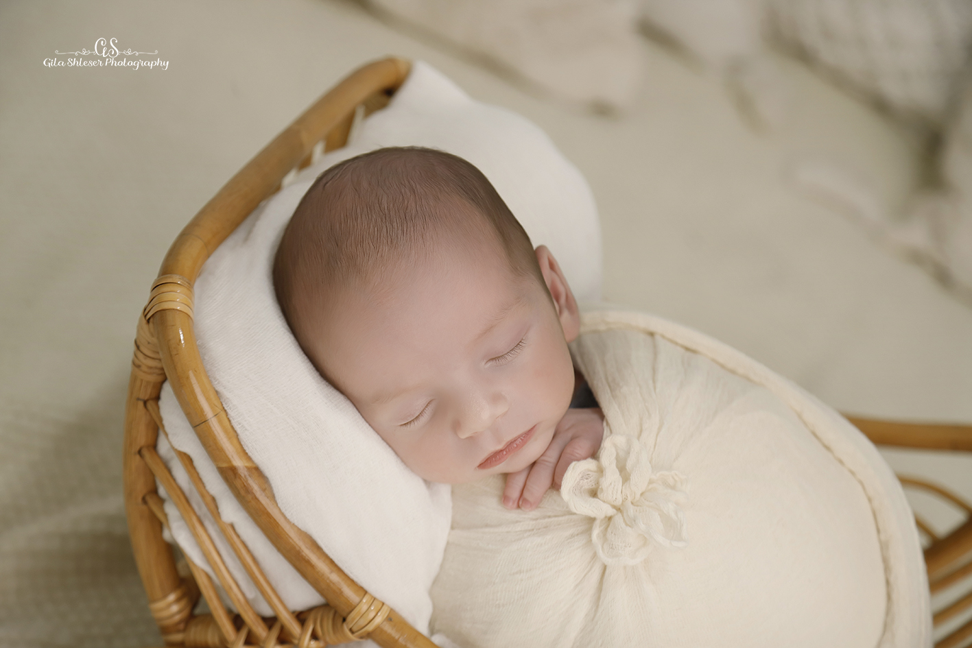 צילום: גילה שלסר 0548539444