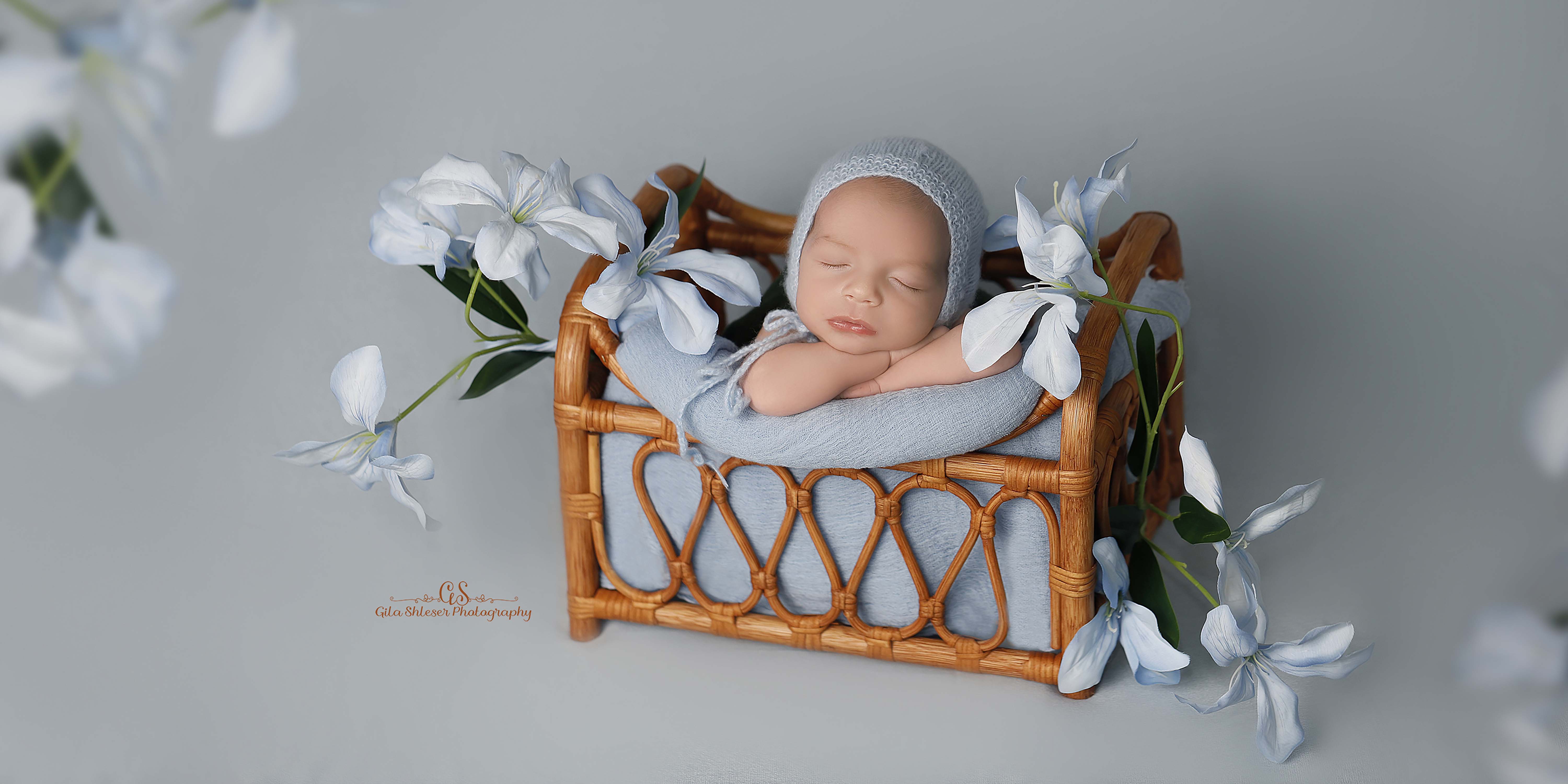 צילום: גילה שלסר 0548539444