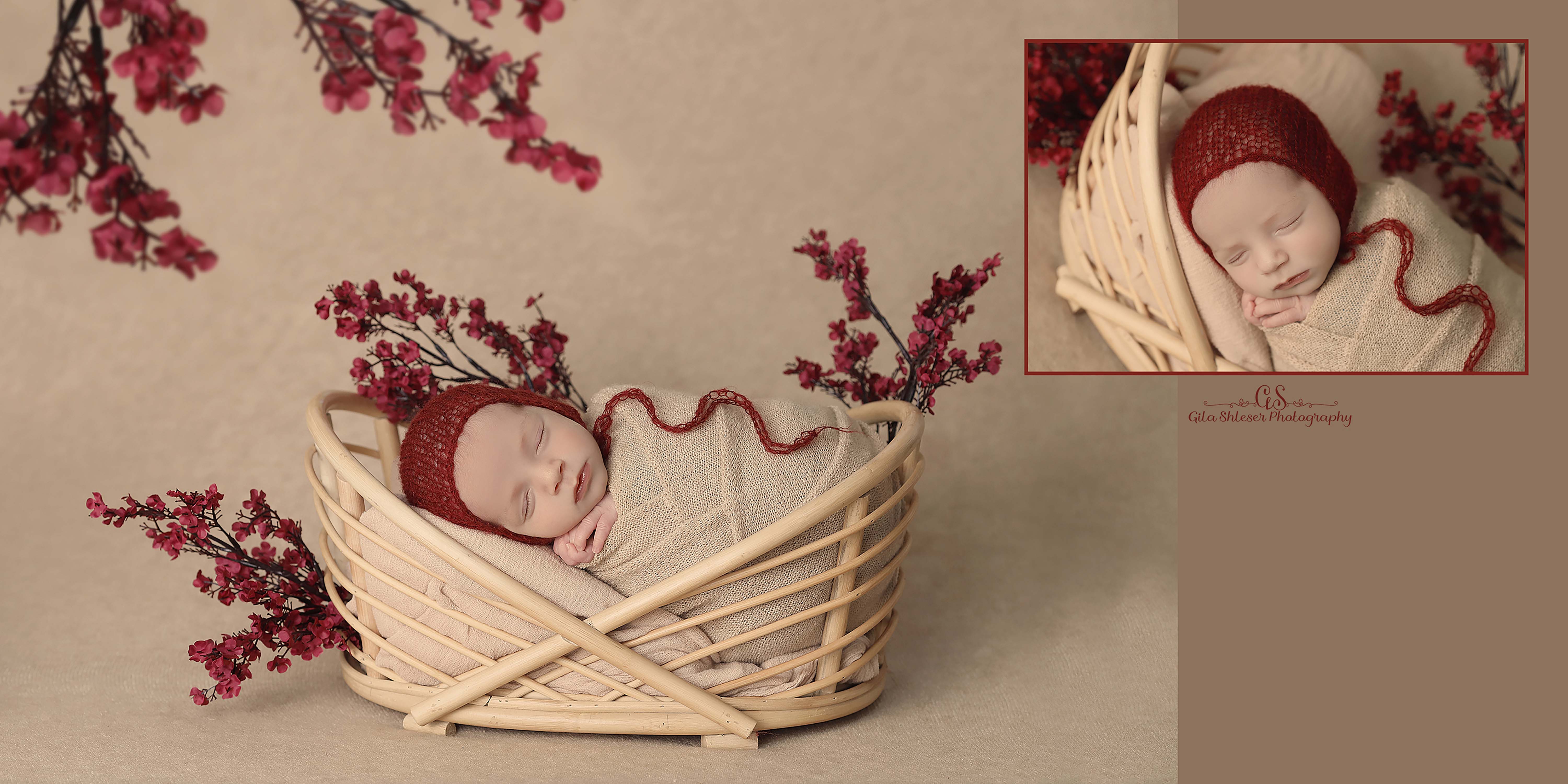 צילום: גילה שלסר 0548539444