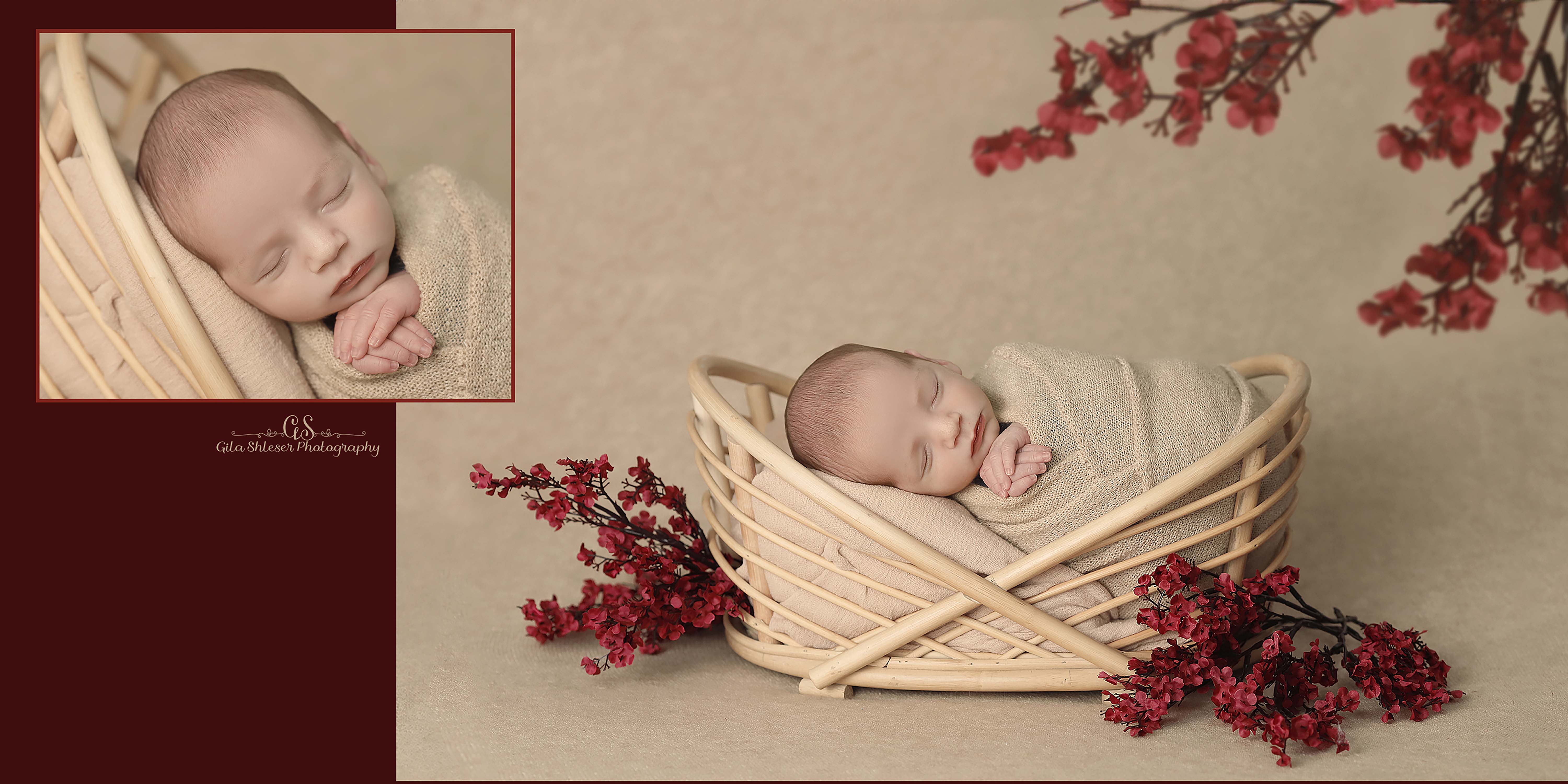 צילום: גילה שלסר 0548539444