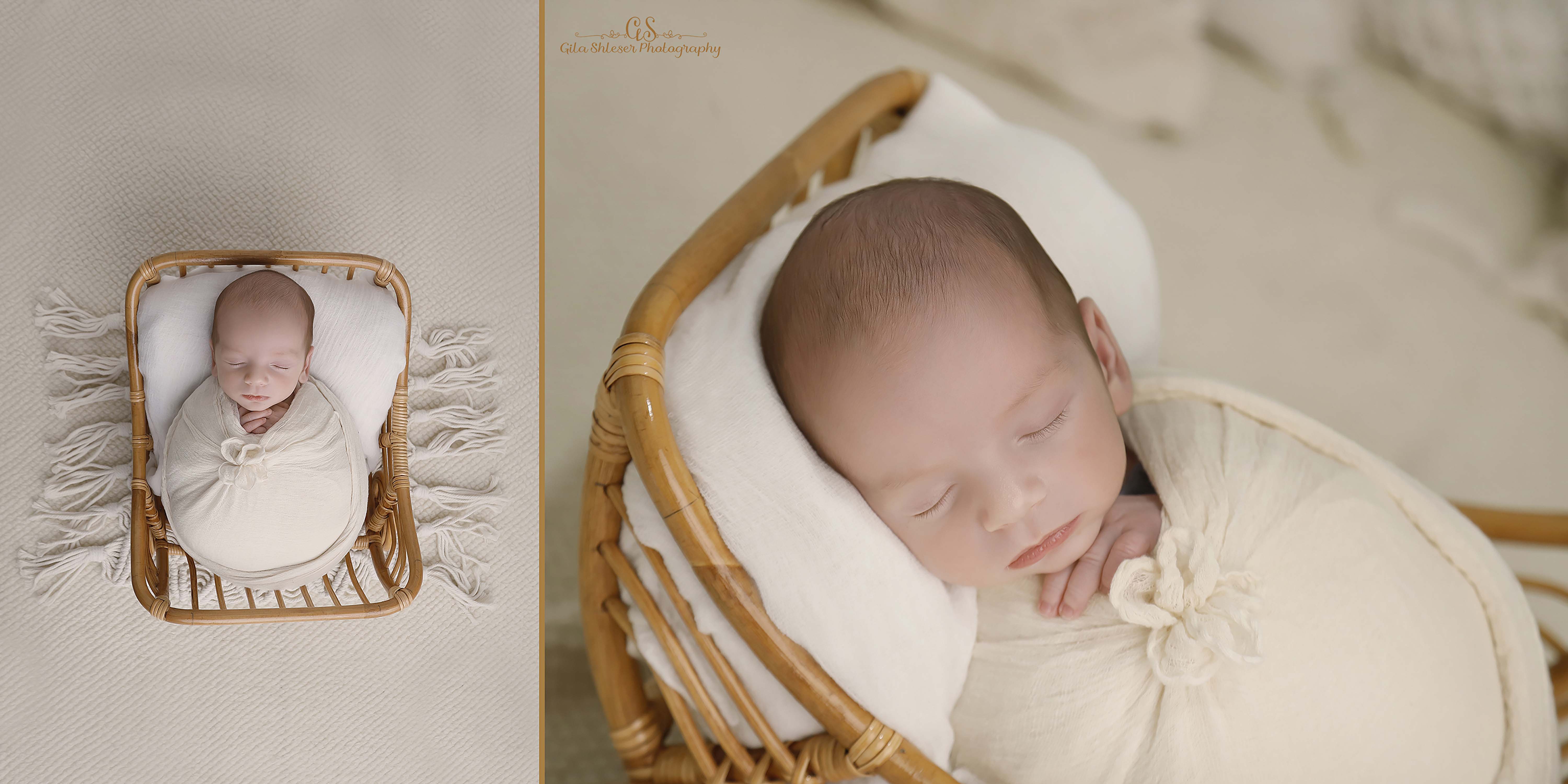 צילום: גילה שלסר 0548539444