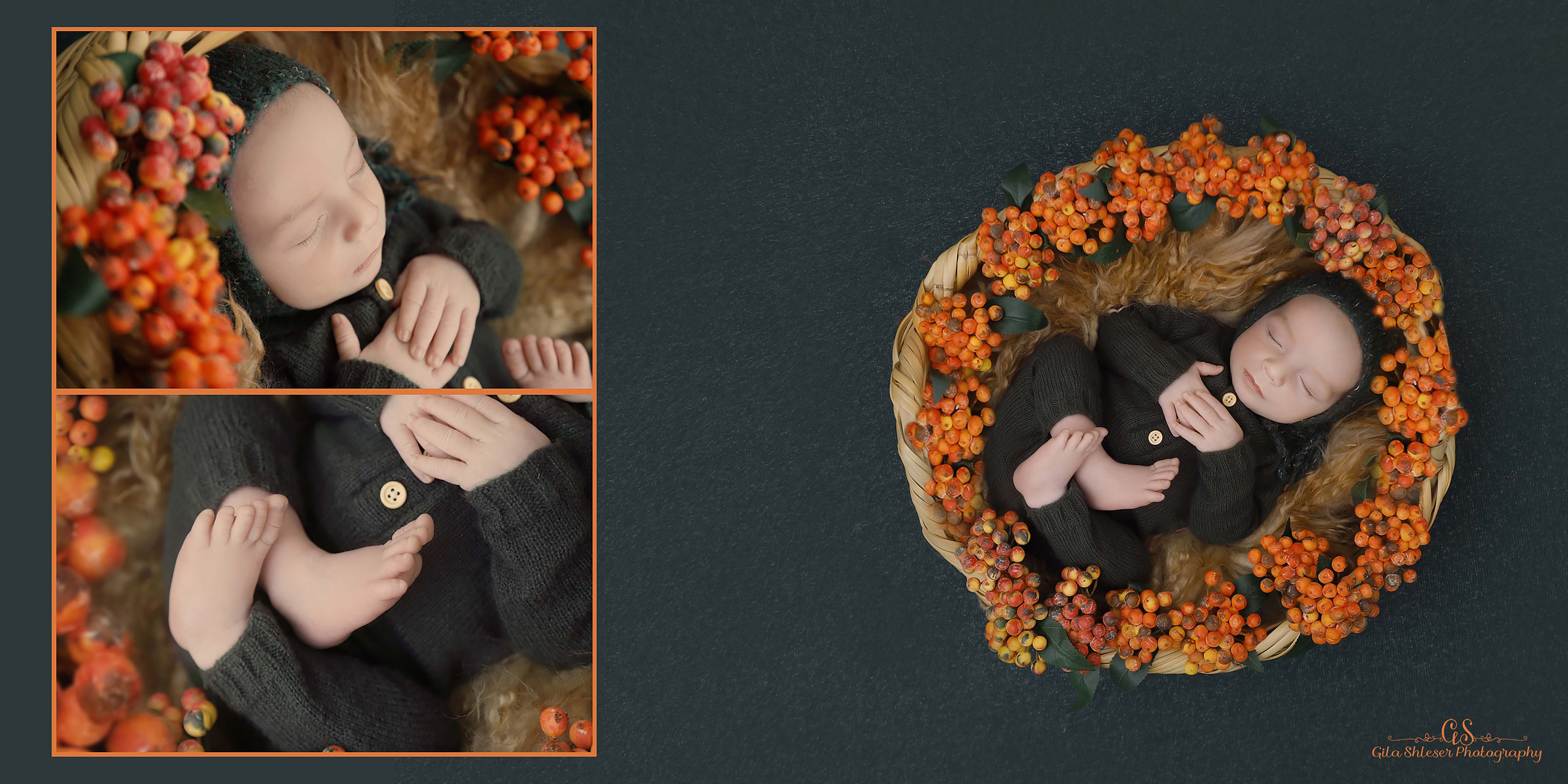 צילום: גילה שלסר 0548539444