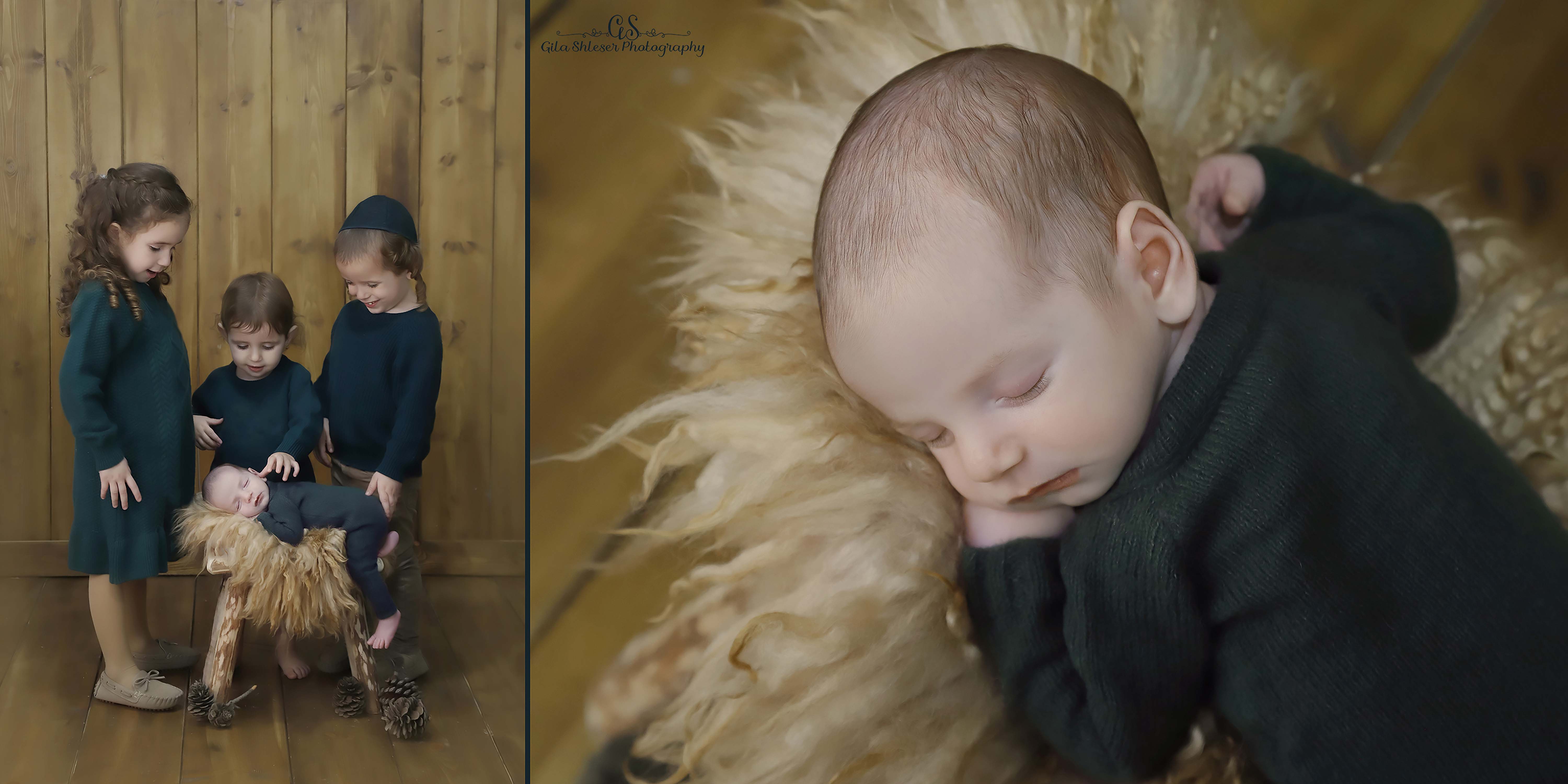 צילום: גילה שלסר 0548539444