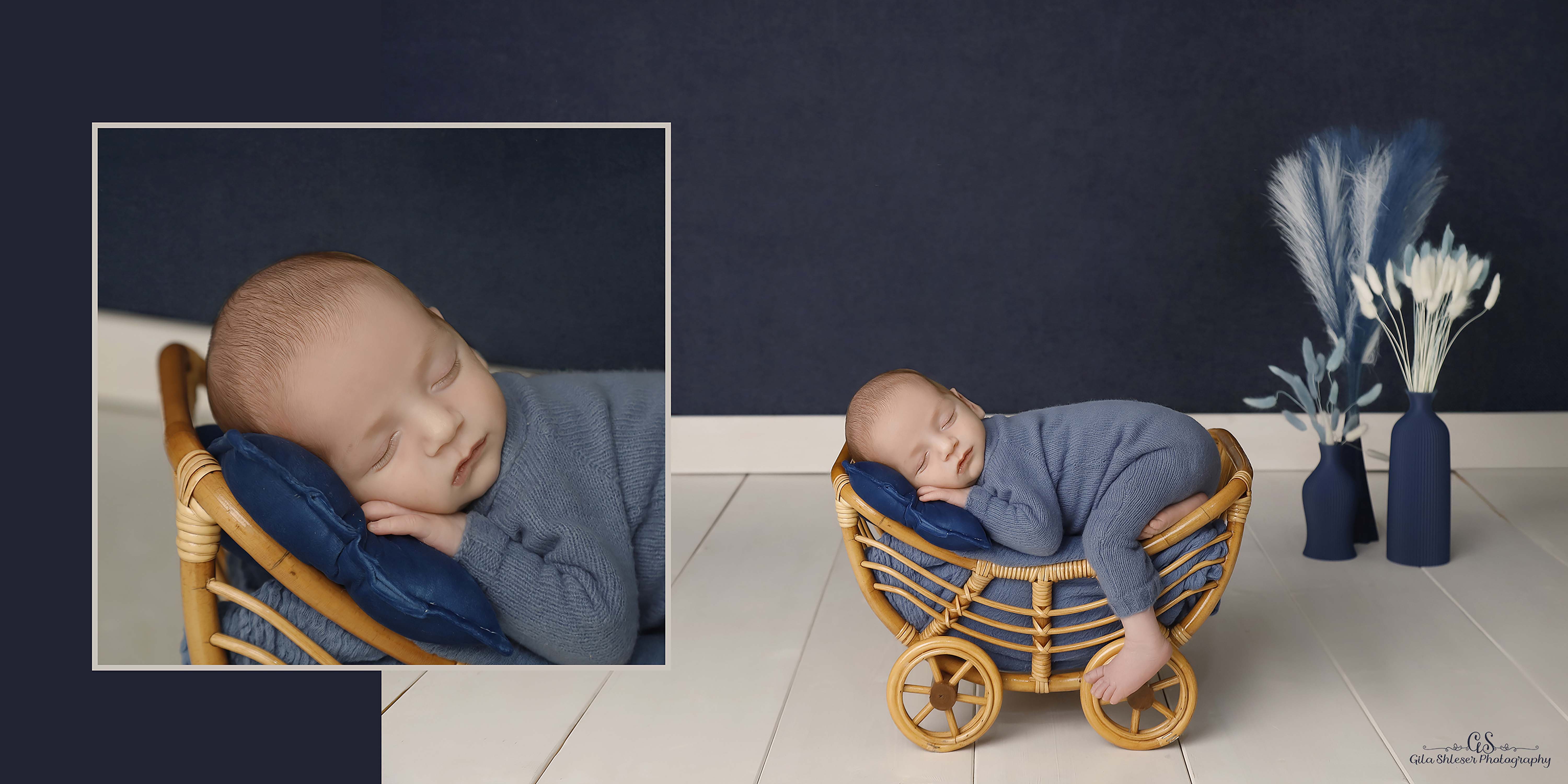 צילום: גילה שלסר 0548539444