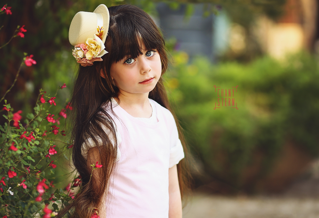 צילום: חני שטרן-0548488577