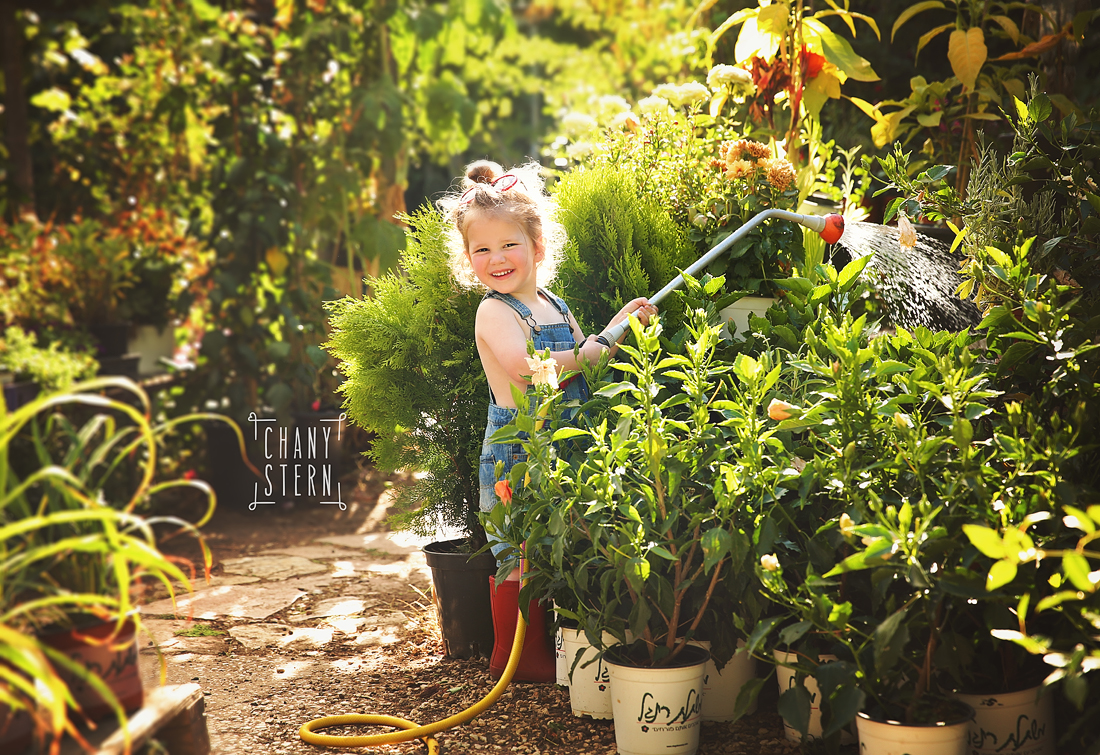 צילום:חני שטרן-0548488577