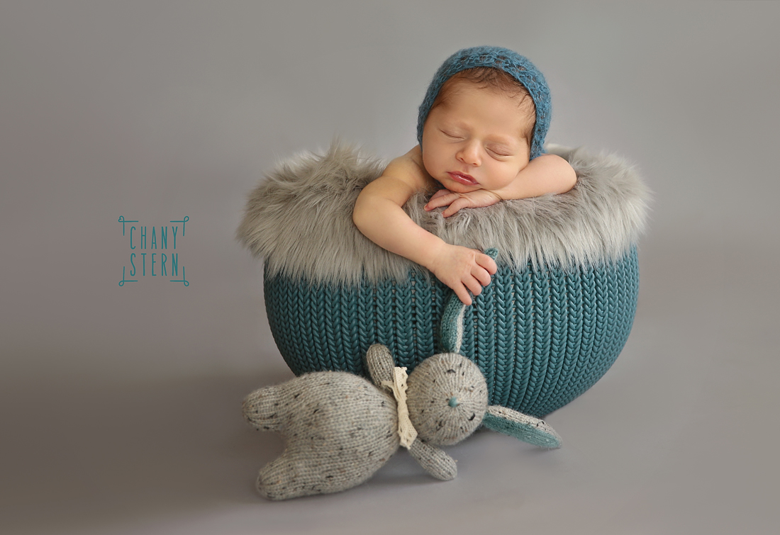 צילום:חני שטרן-0548488577