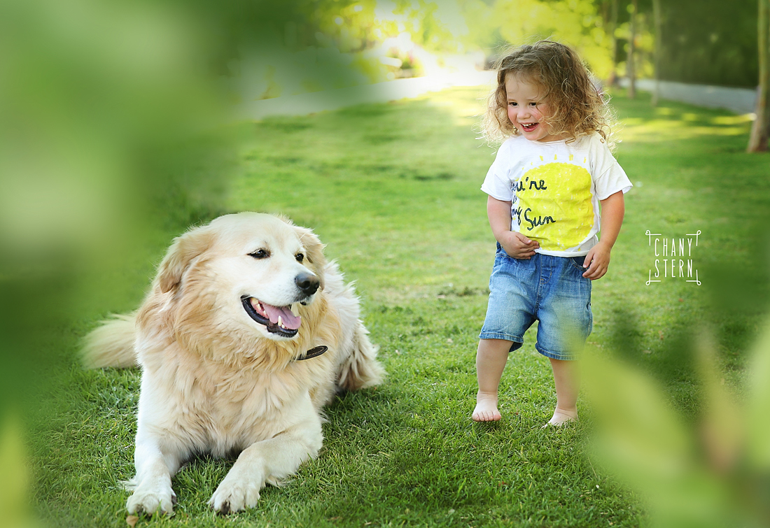 צילום:חני שטרן-0548488577