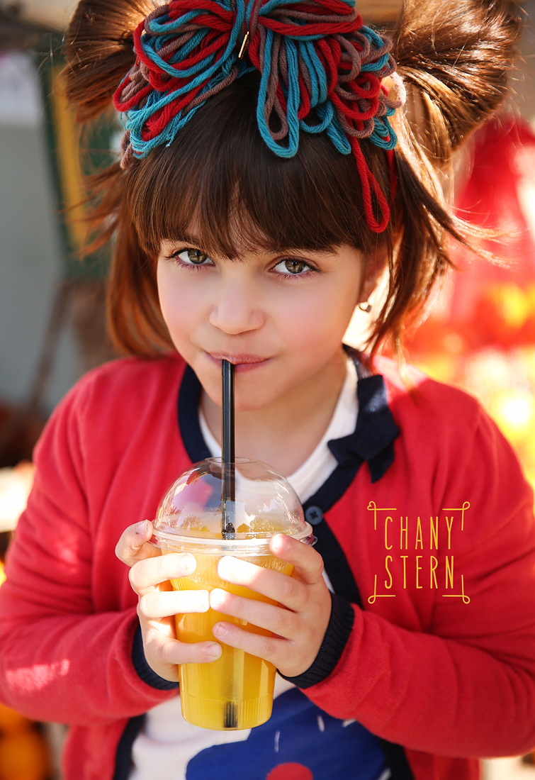 צילום:חני שטרן-0548488577