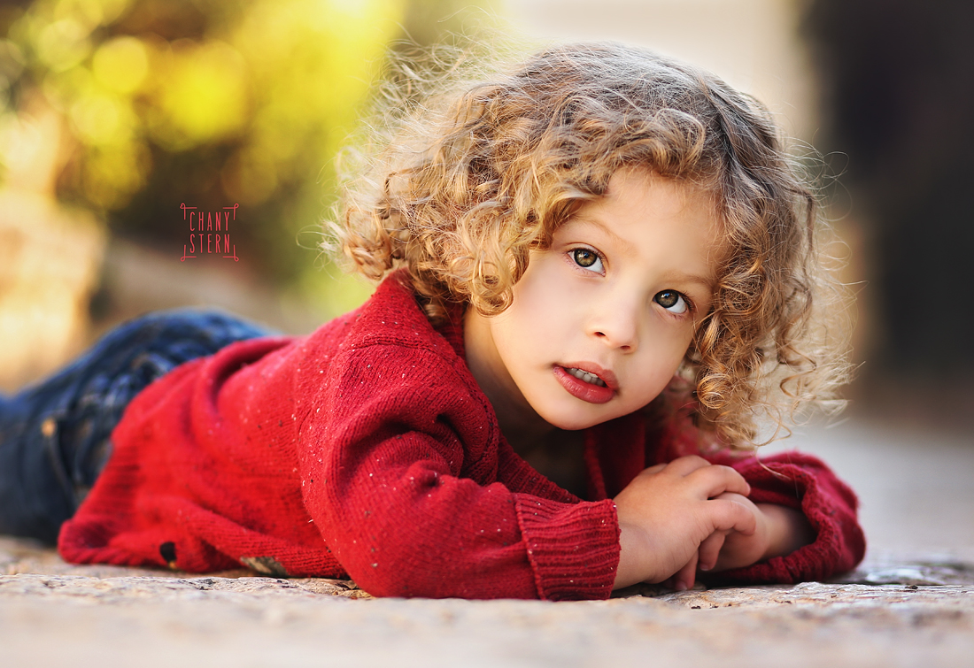 צילום:חני שטרן-0548488577