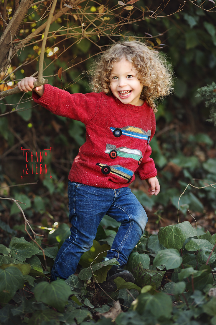 צילום:חני שטרן-0548488577