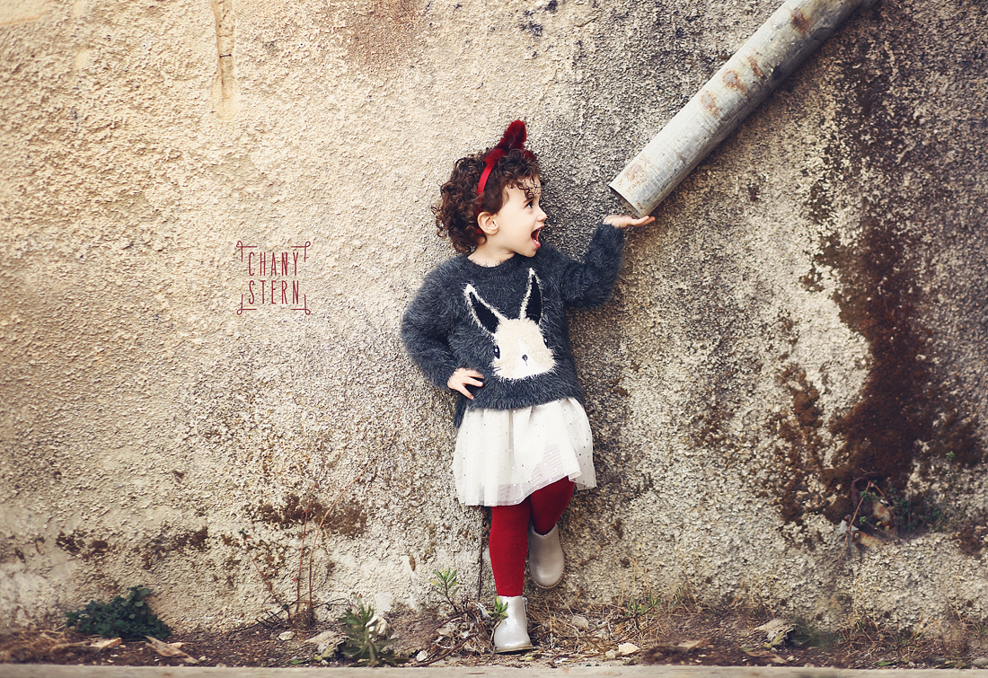 צילום:חני שטרן-0548488577