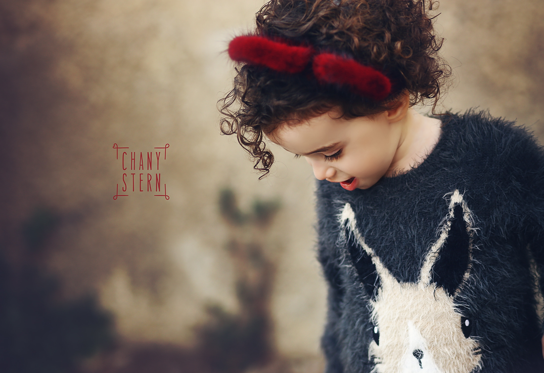 צילום:חני שטרן-0548488577