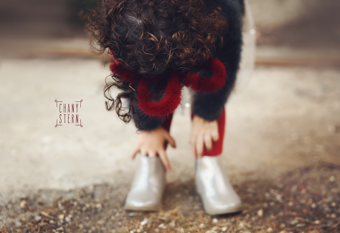 צילום:חני שטרן-0548488577