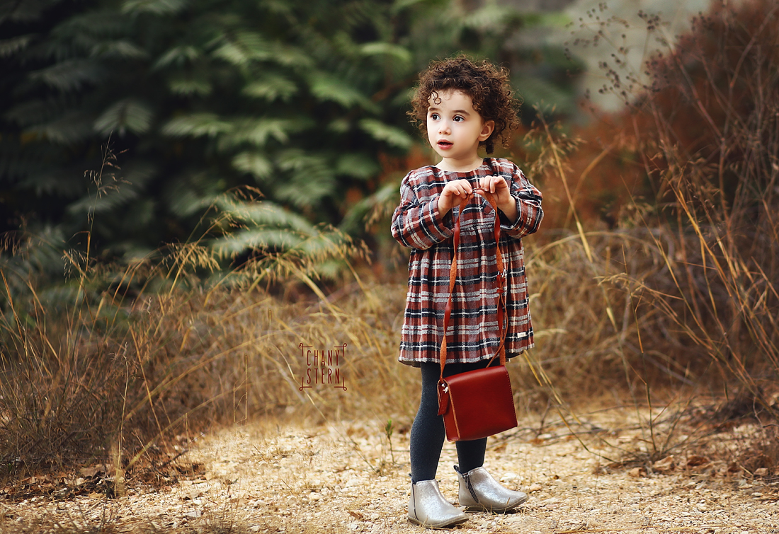 צילום:חני שטרן-0548488577