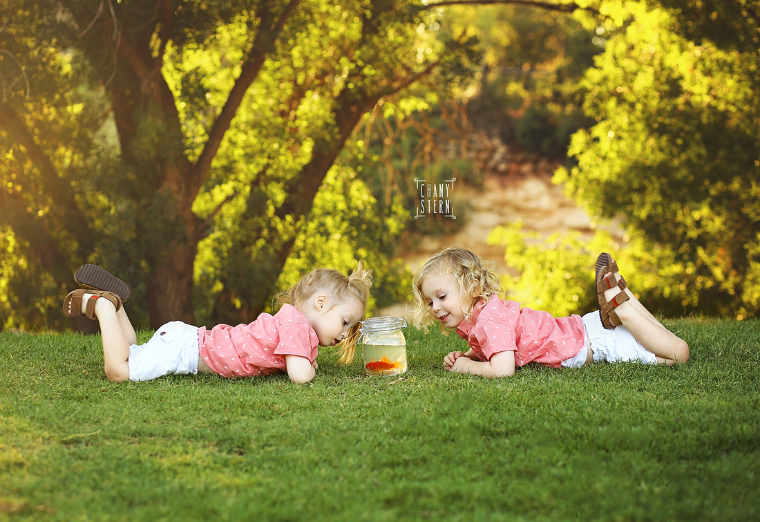 צילום:חני שטרן-0548488577