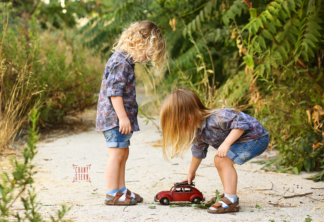 צילום:חני שטרן-0548488577