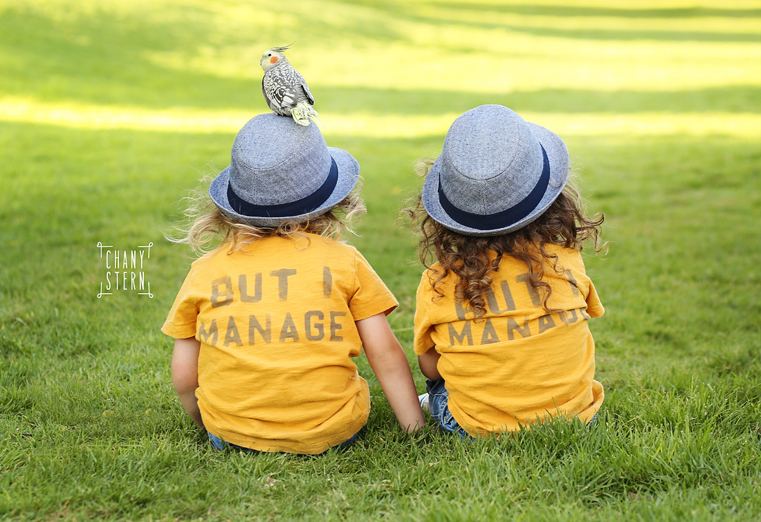 צילום:חני שטרן-0548488577