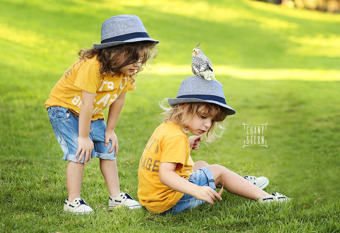 צילום:חני שטרן-0548488577