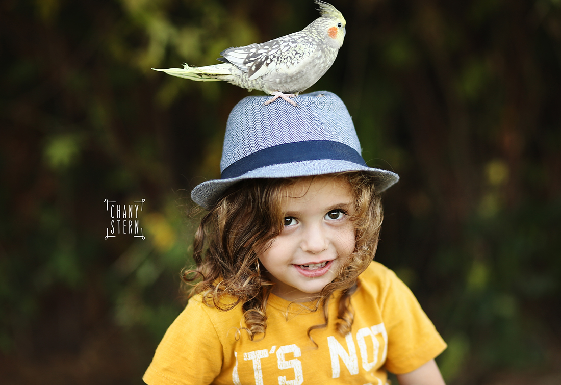 צילום:חני שטרן-0548488577