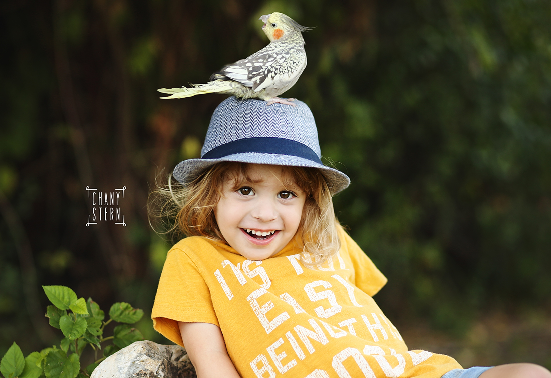 צילום:חני שטרן-0548488577