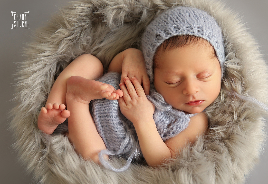 צילום:חני שטרן-0548488577