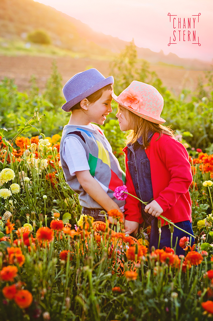 צילום:חני שטרן-0548488577