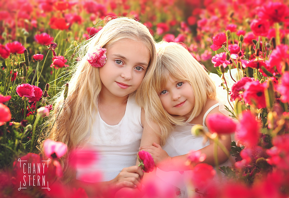 צילום:חני שטרן -0548488577