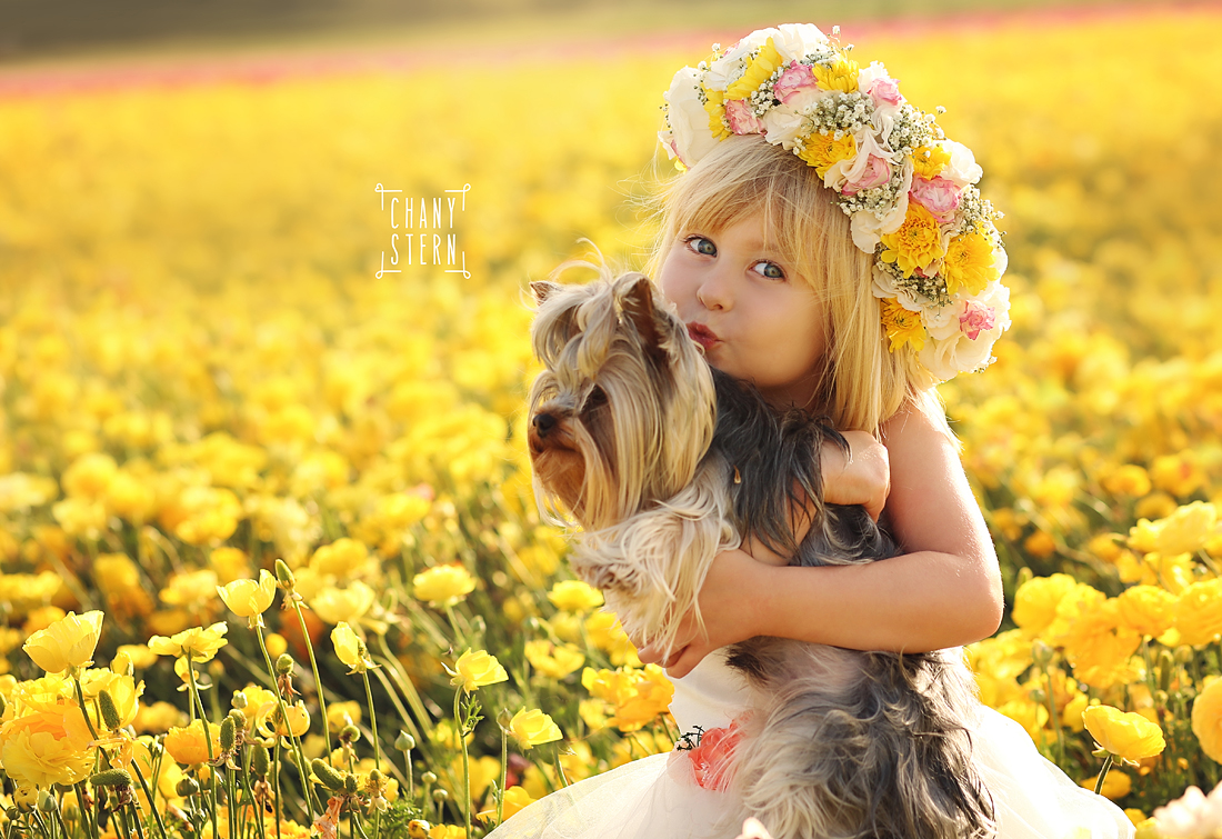 צילום:חני שטרן-0548488577