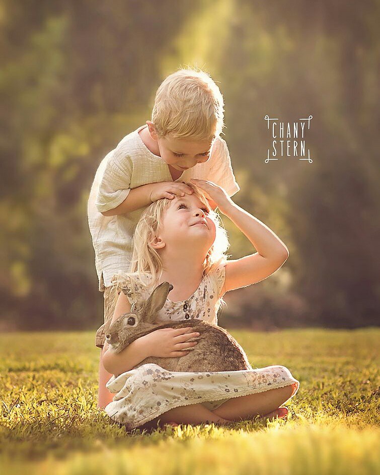 צילום:חני שטרן-0548488577