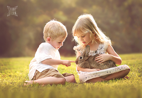 צילום:חני שטרן-0548488577