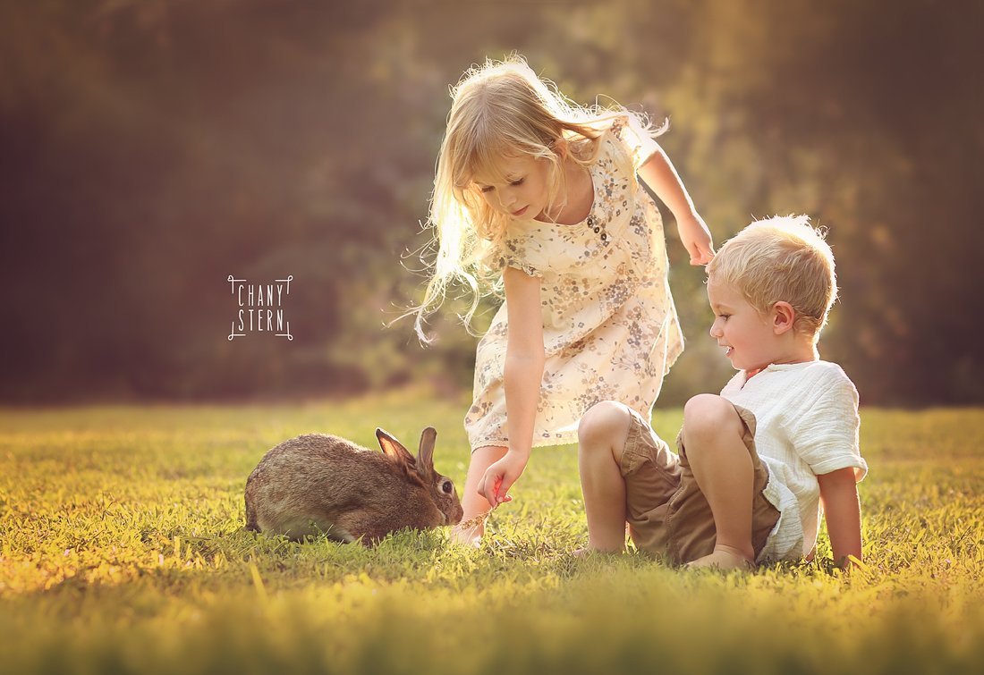 צילום:חני שטרן-0548488577