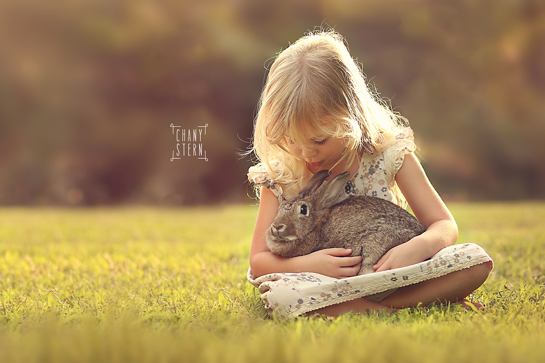 צילום:חני שטרן-0548488577