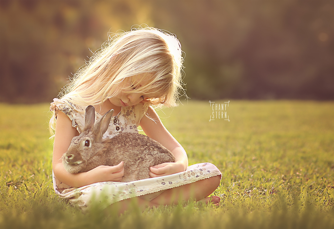 צילום:חני שטרן-0548488577