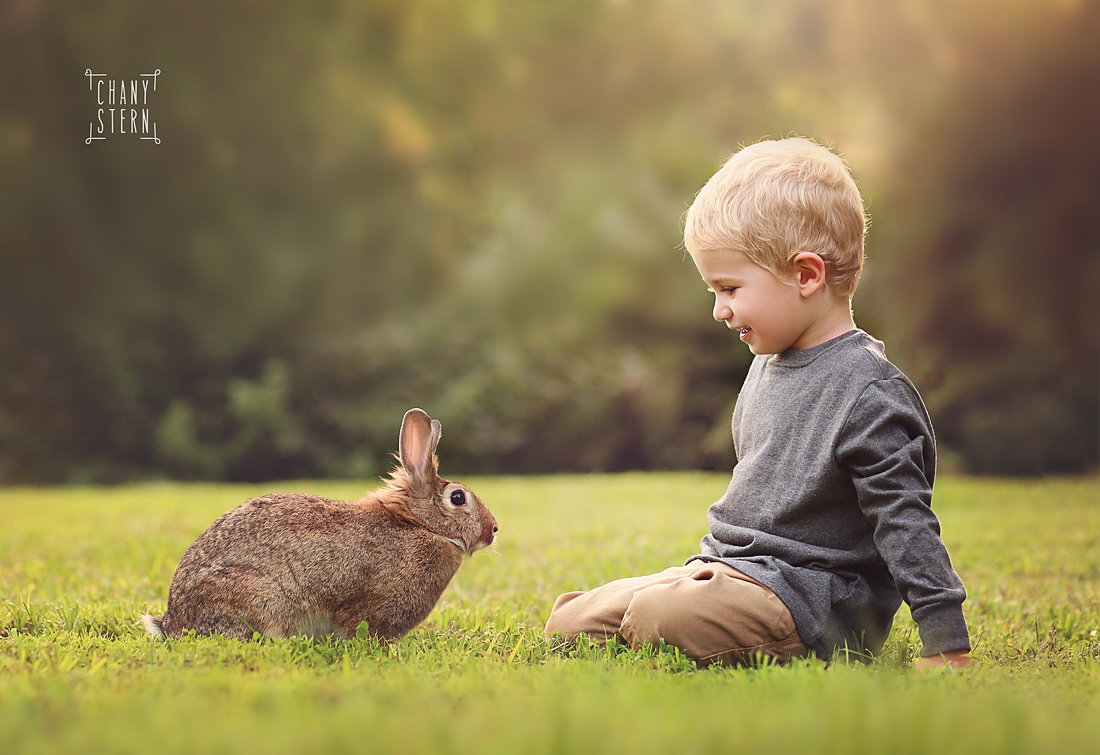 צילום:חני שטרן-0548488577