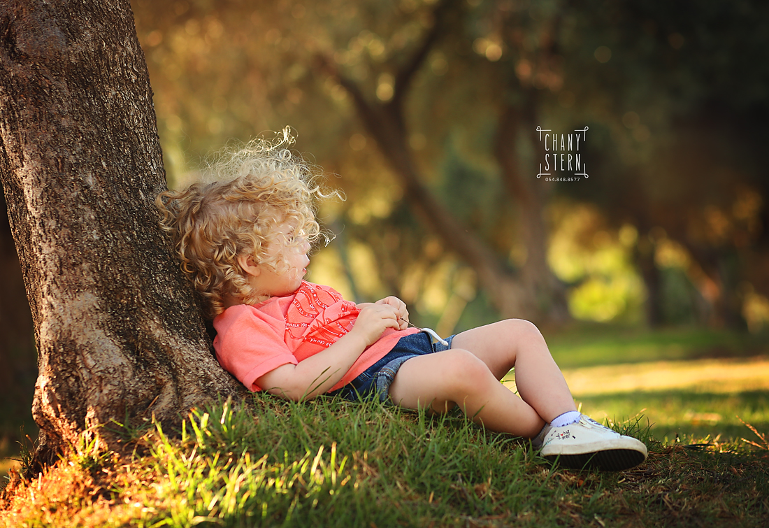 צילום:חני שטרן-0548488577