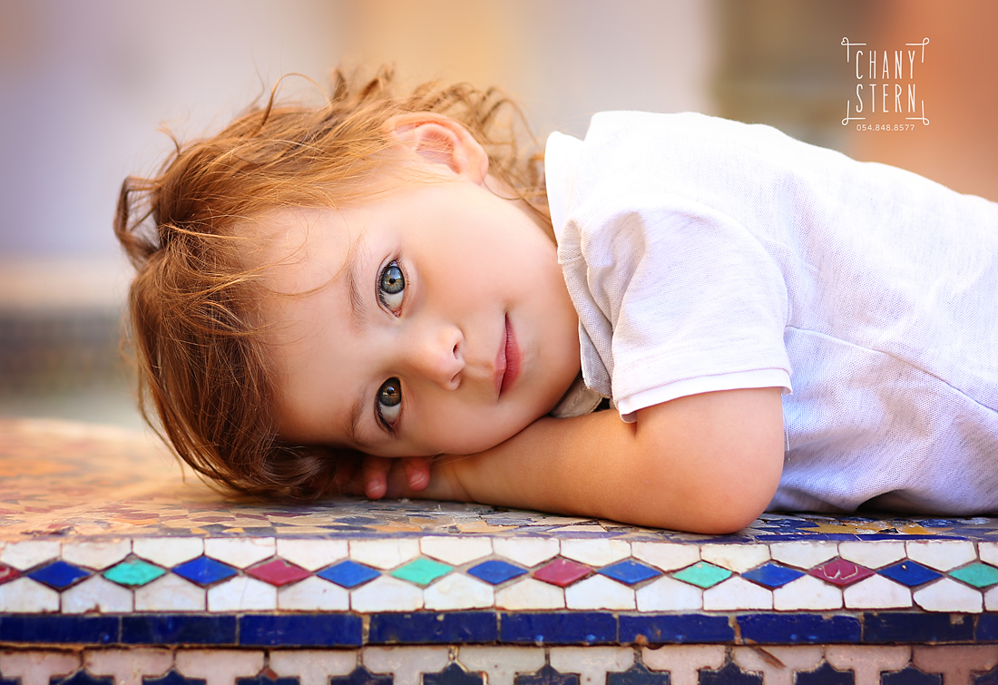 צילום:חני שטרן -0548488577