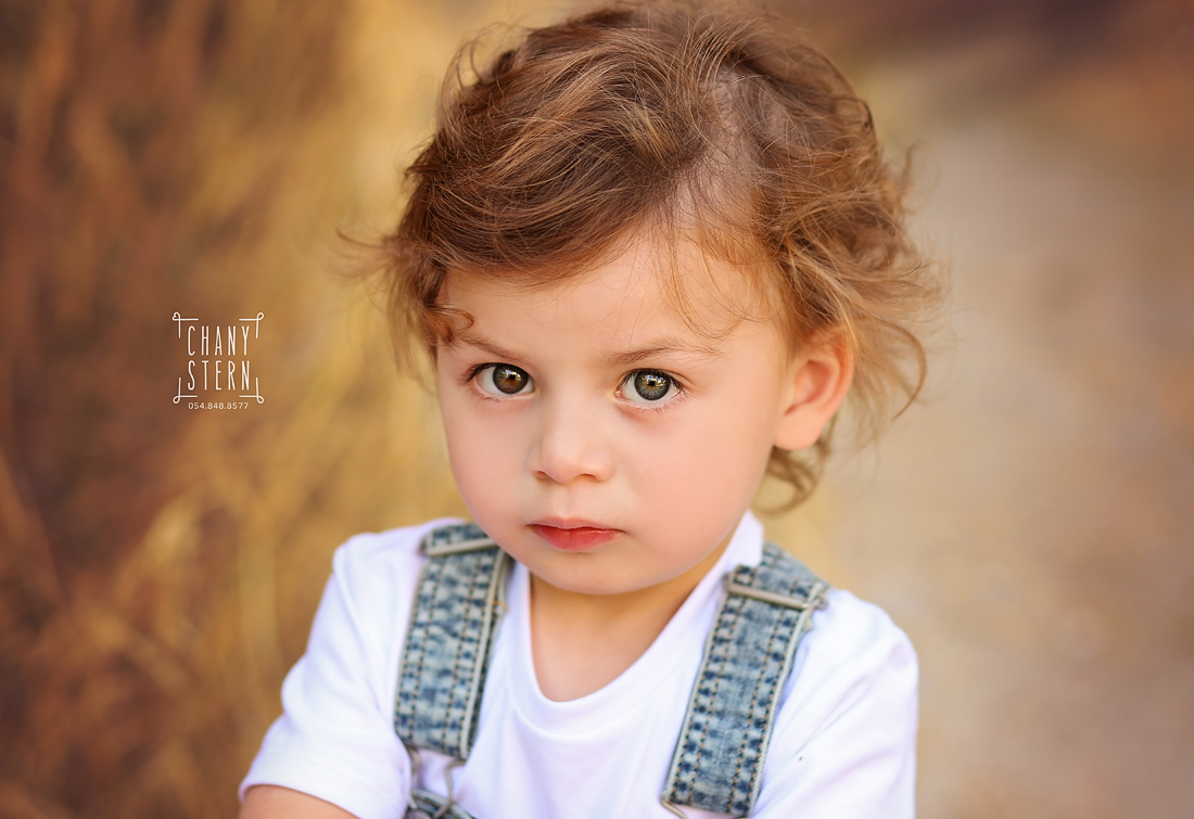 צילום:חני שטרן -0548488577