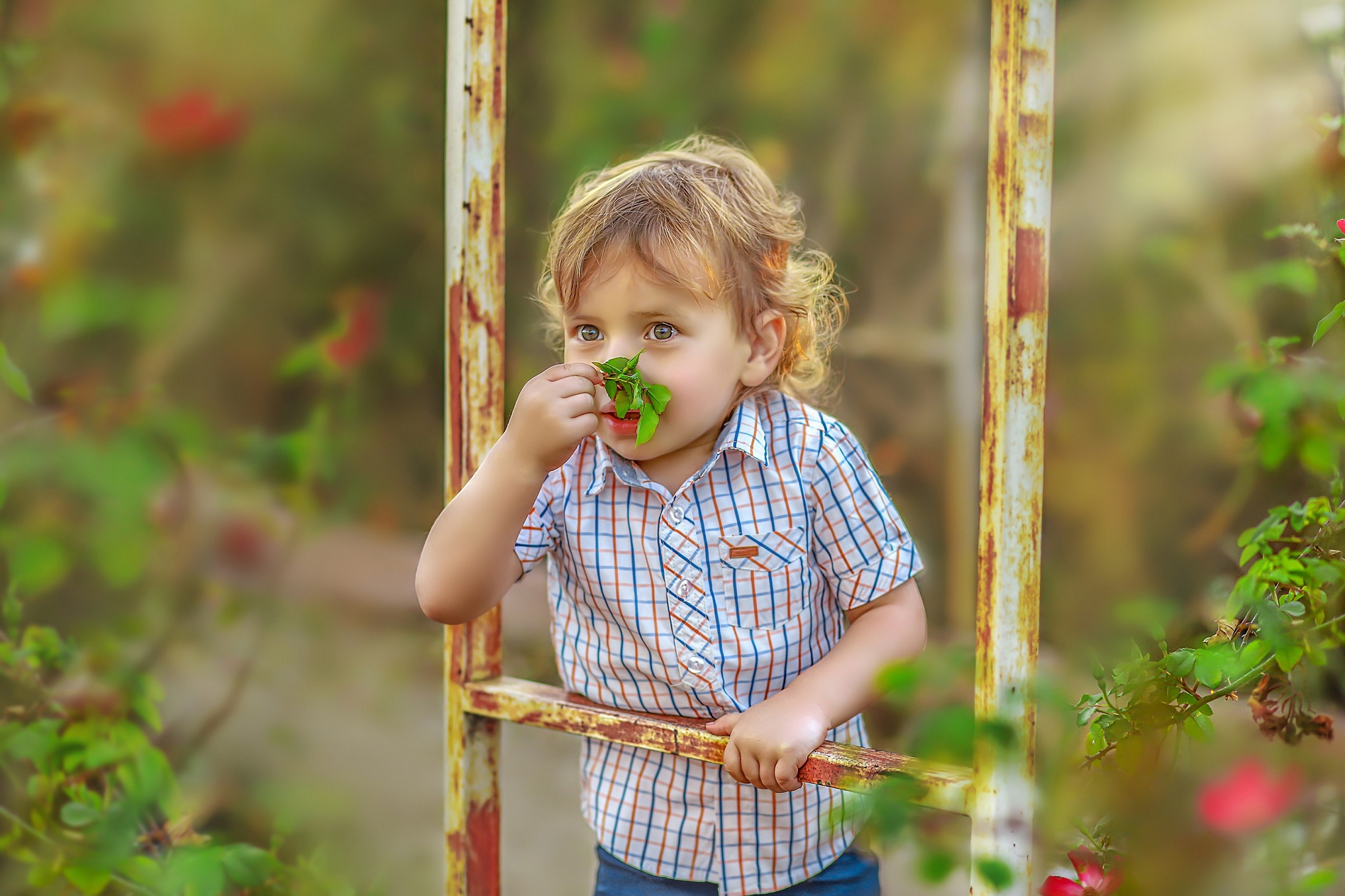 צילום יהודית סמט 0548543595 (14).jpg