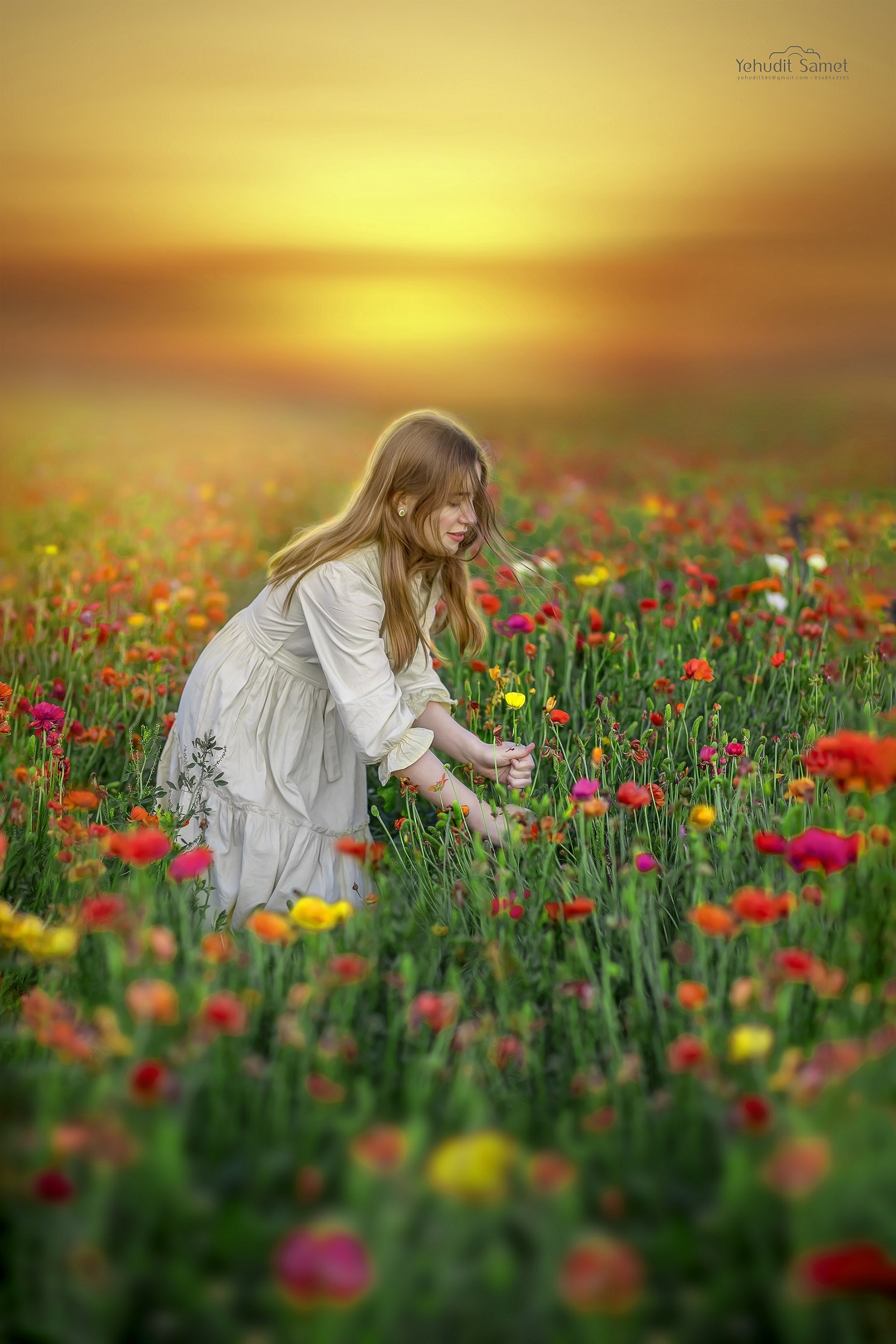 צילום יהודית סמט