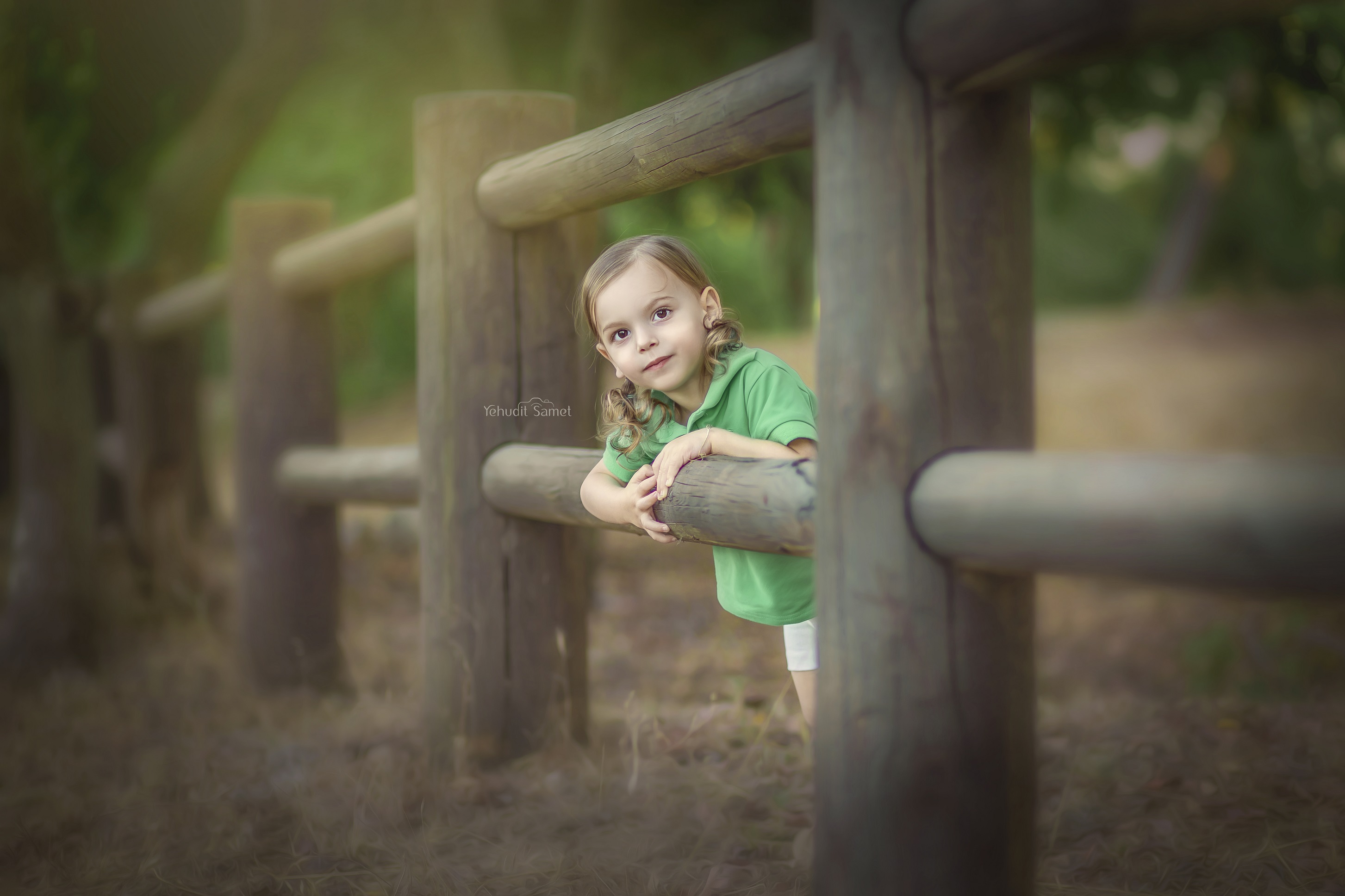 צילום יהודית סמט