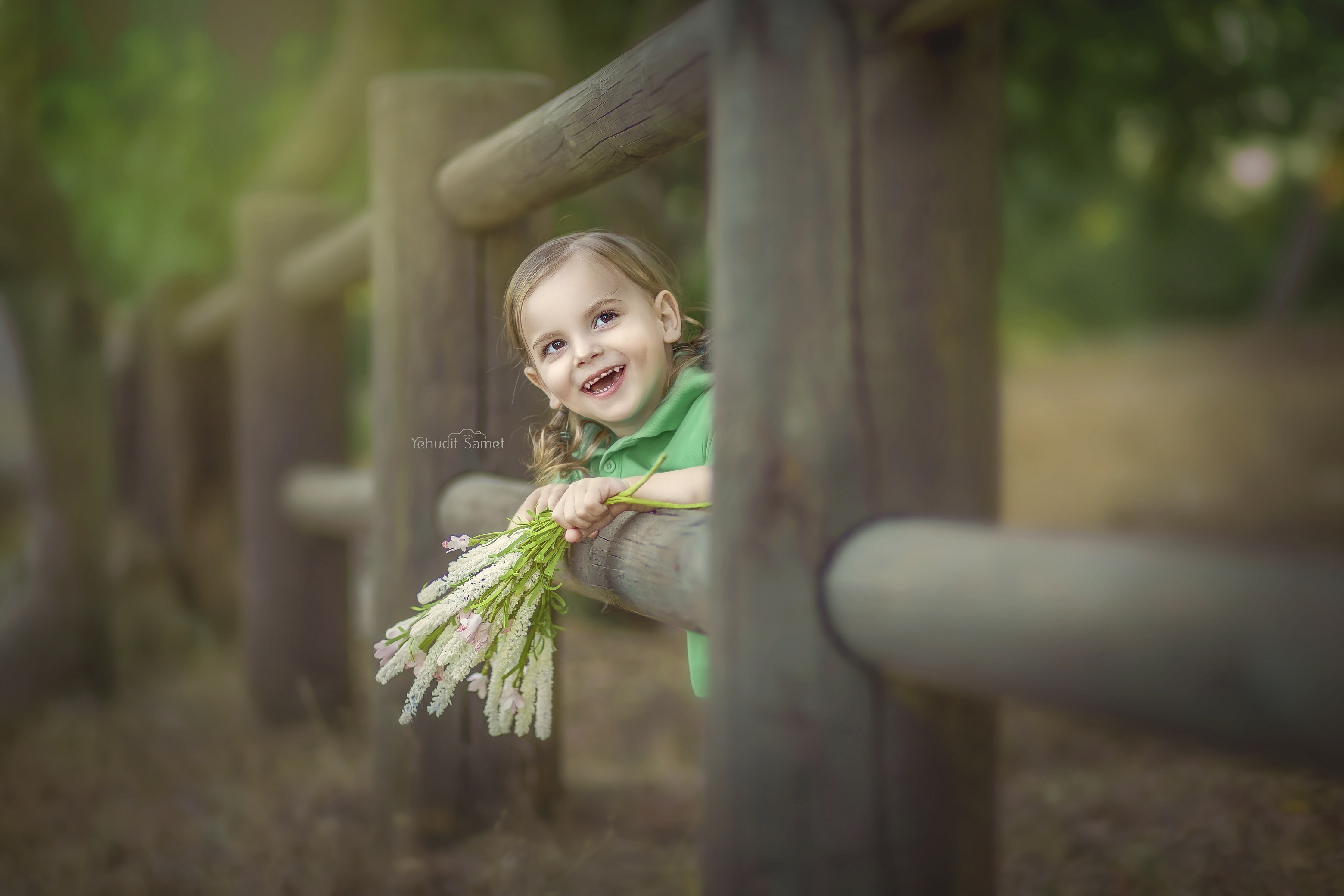 צילום יהודית סמט