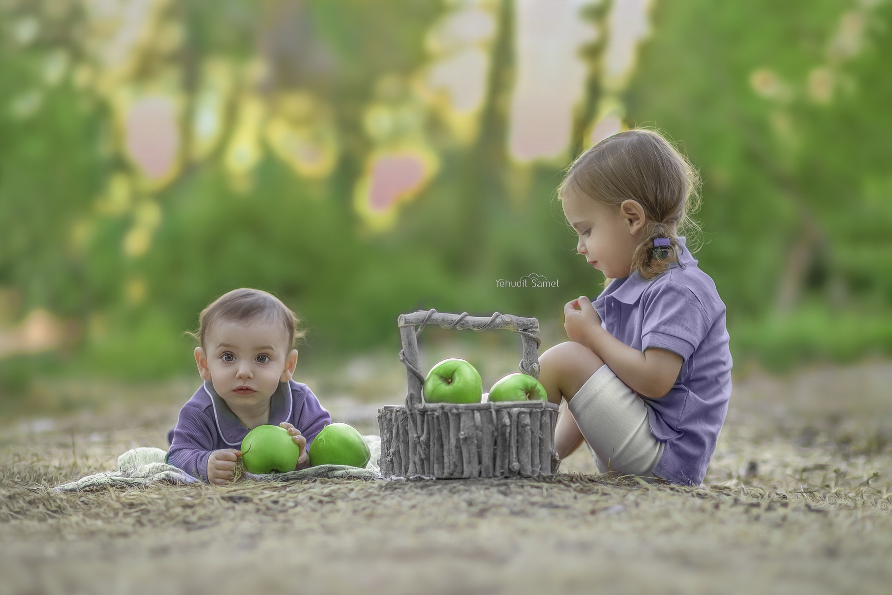 צילום יהודית סמט