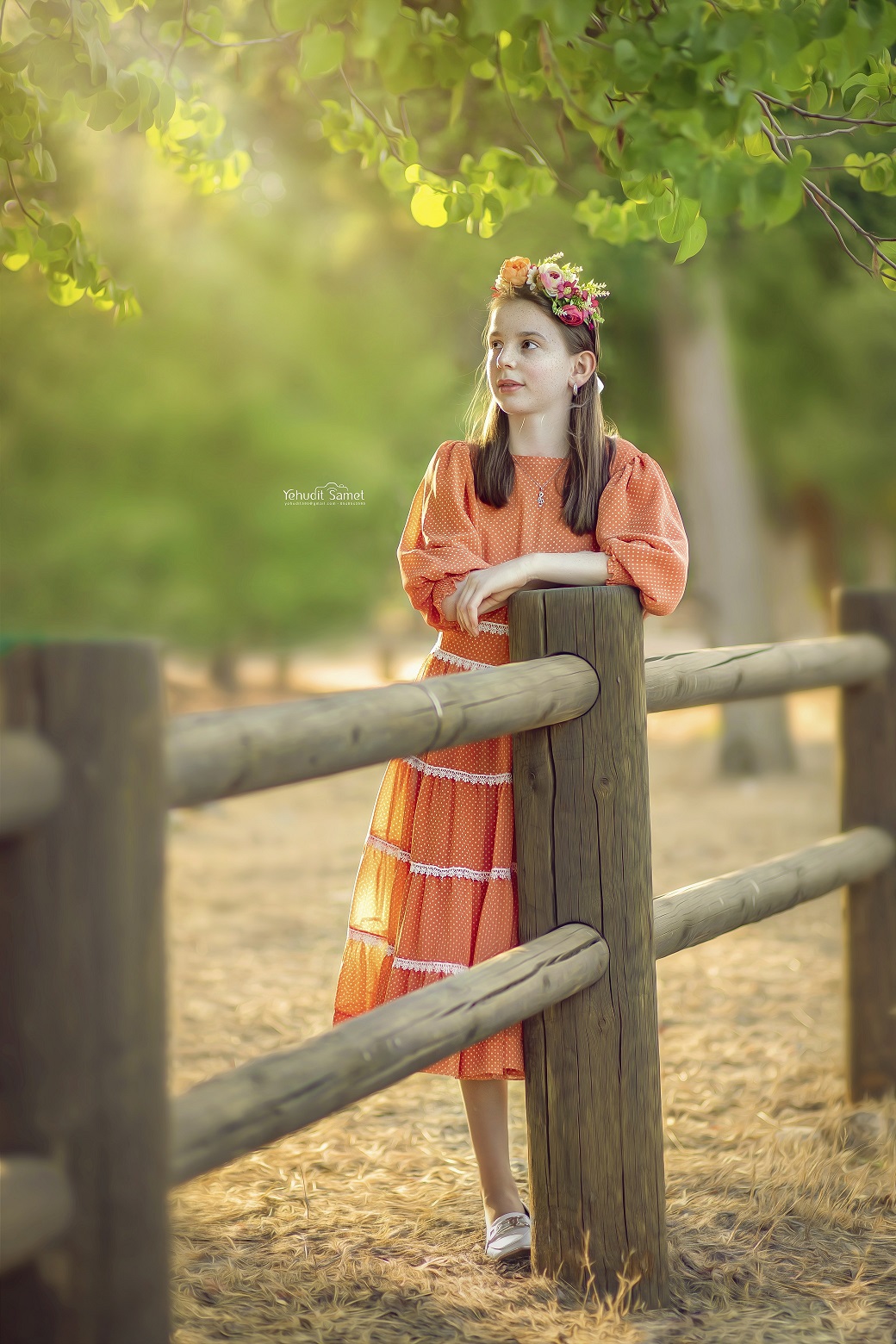 צילום יהודית סמט