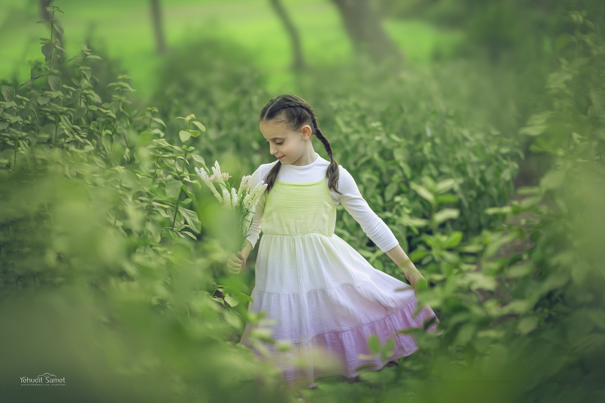 צילום יהודית סמט